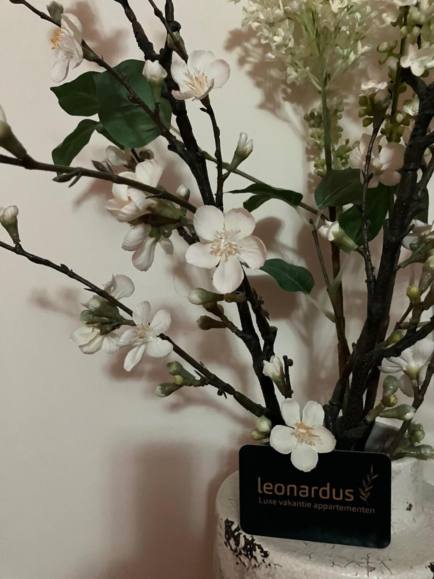 Luxe Appartementen Leonardus 팔켄뷔르흐안더횔 외부 사진
